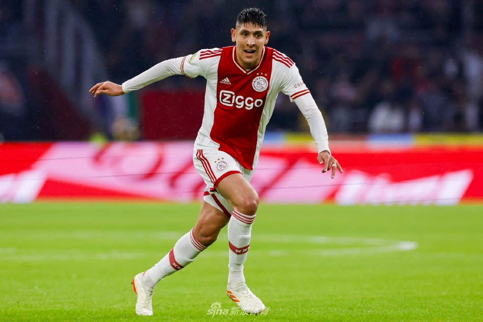 海燕等领军 海燕等领军