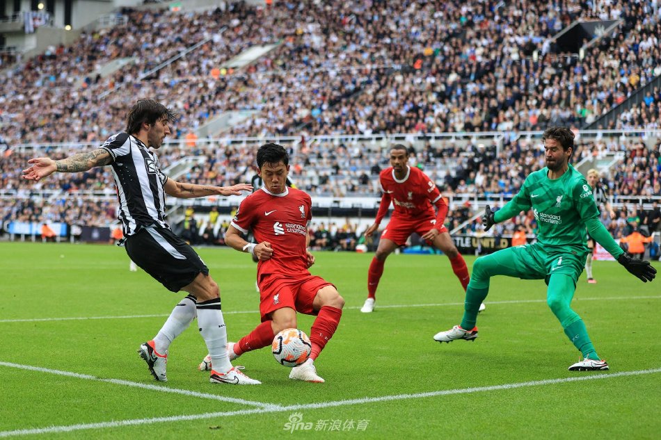 也是球队进 也是球队进